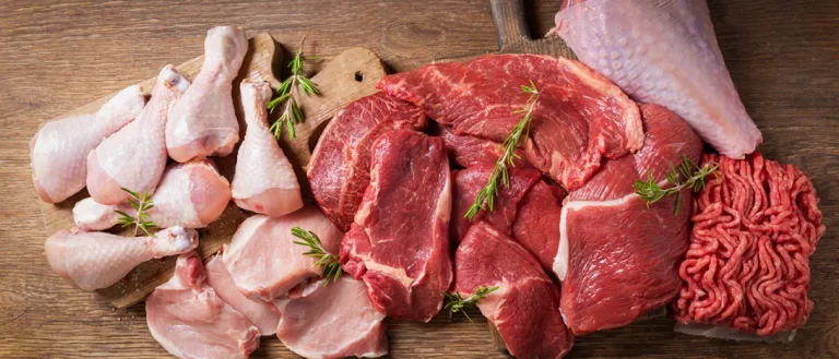 Dieta Carnívora para Iniciantes: Quais são os seus benefícios e riscos ? Será que vale a pena tentar?